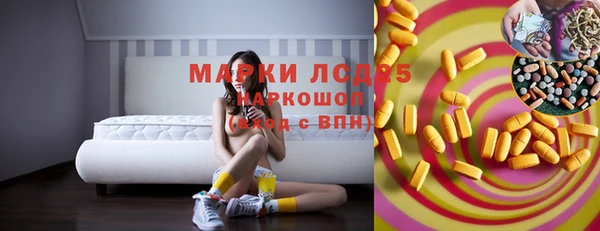 ПСИЛОЦИБИНОВЫЕ ГРИБЫ Белокуриха
