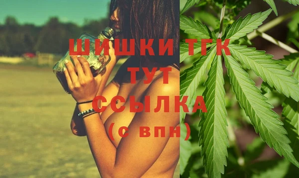 ПСИЛОЦИБИНОВЫЕ ГРИБЫ Белокуриха