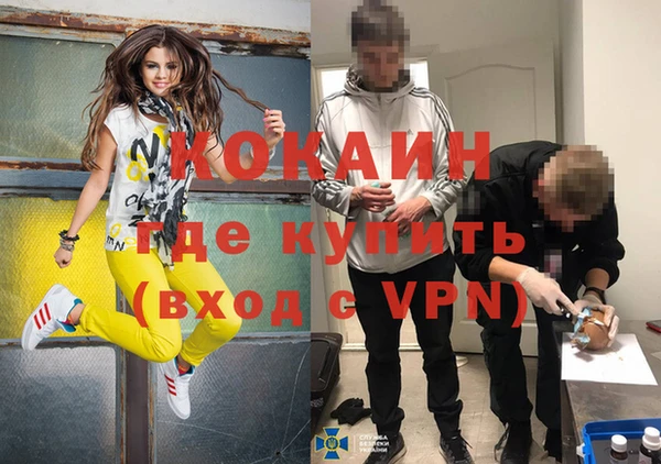 ПСИЛОЦИБИНОВЫЕ ГРИБЫ Белокуриха