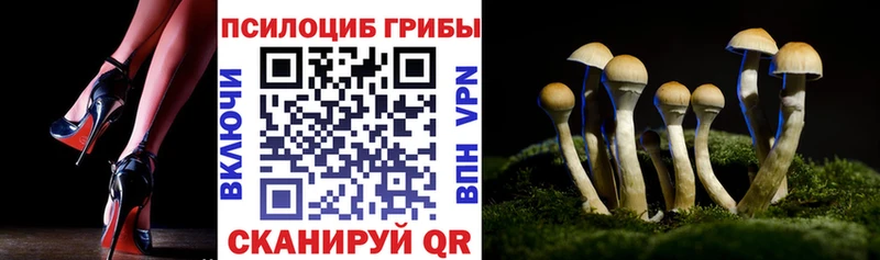 Галлюциногенные грибы мухоморы  Купить  Белинский 